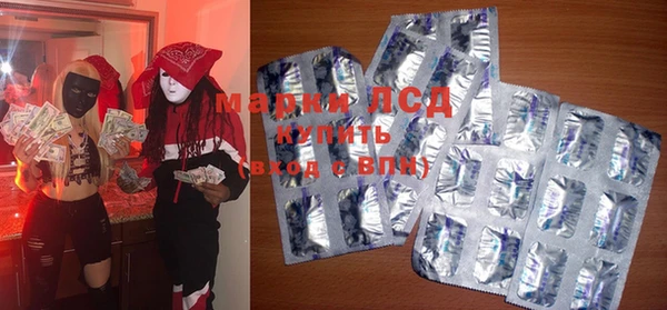 мяу мяу мука Инсар