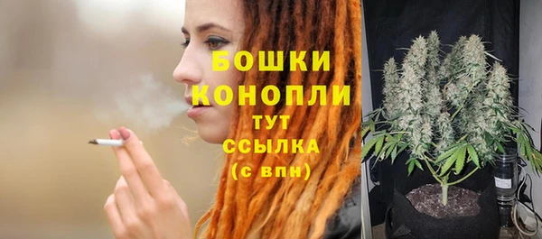 мяу мяу мука Инсар