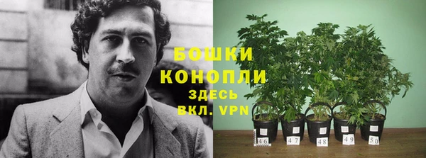 MESCALINE Инта