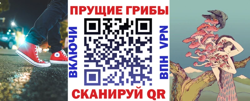 Галлюциногенные грибы Psilocybe цены наркотик Ялта