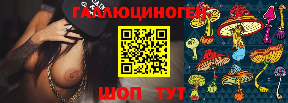 Галлюциногенные грибы Psilocybine cubensis Ялта