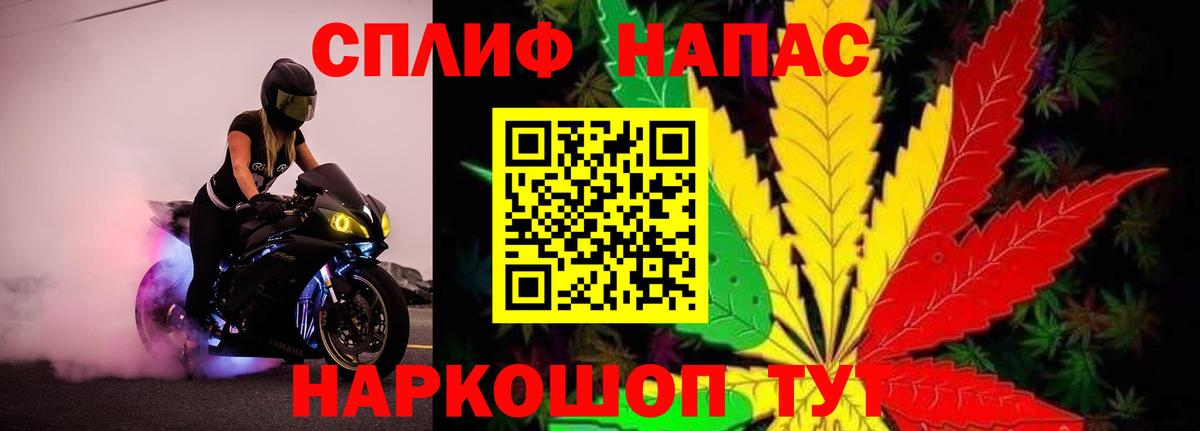 Марихуана сатива  Канабис планчик  Ялта  Марихуана план  Канабис MAZAR 